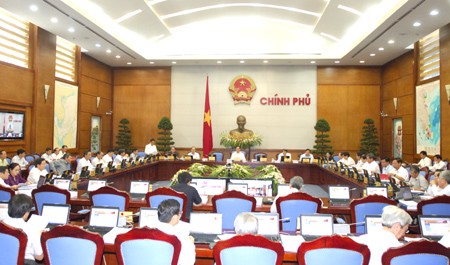 Chính phủ họp phiên thường kỳ tháng 6/2013  - ảnh 1